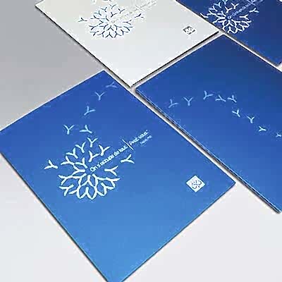 Папки фирменные